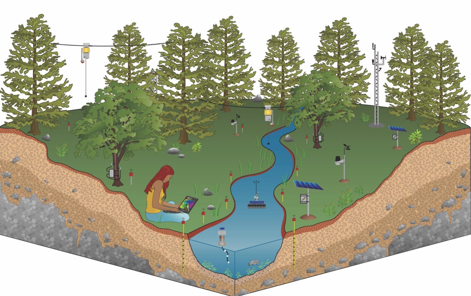 Virtual Field Station illustration showing a forest ecosystem with environmental sensors, data loggers, and monitoring equipment