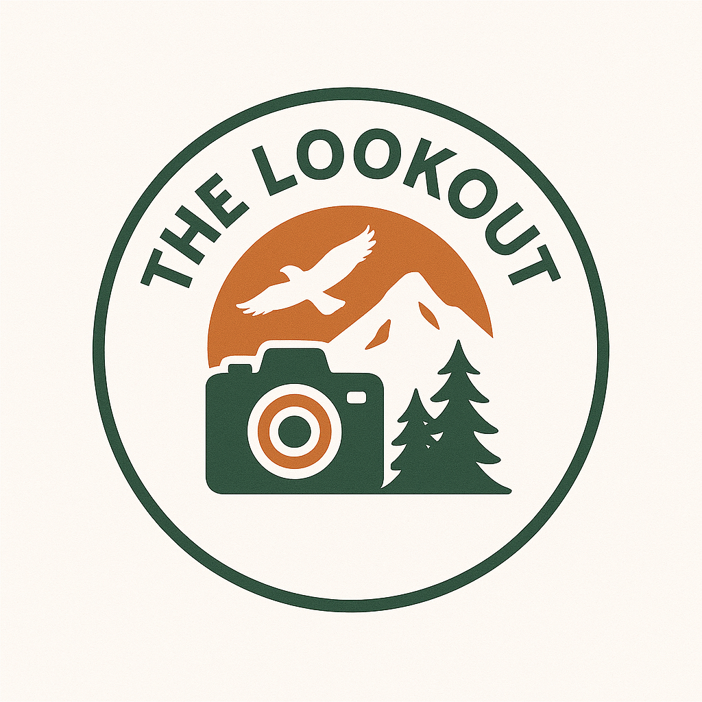 The Lookout